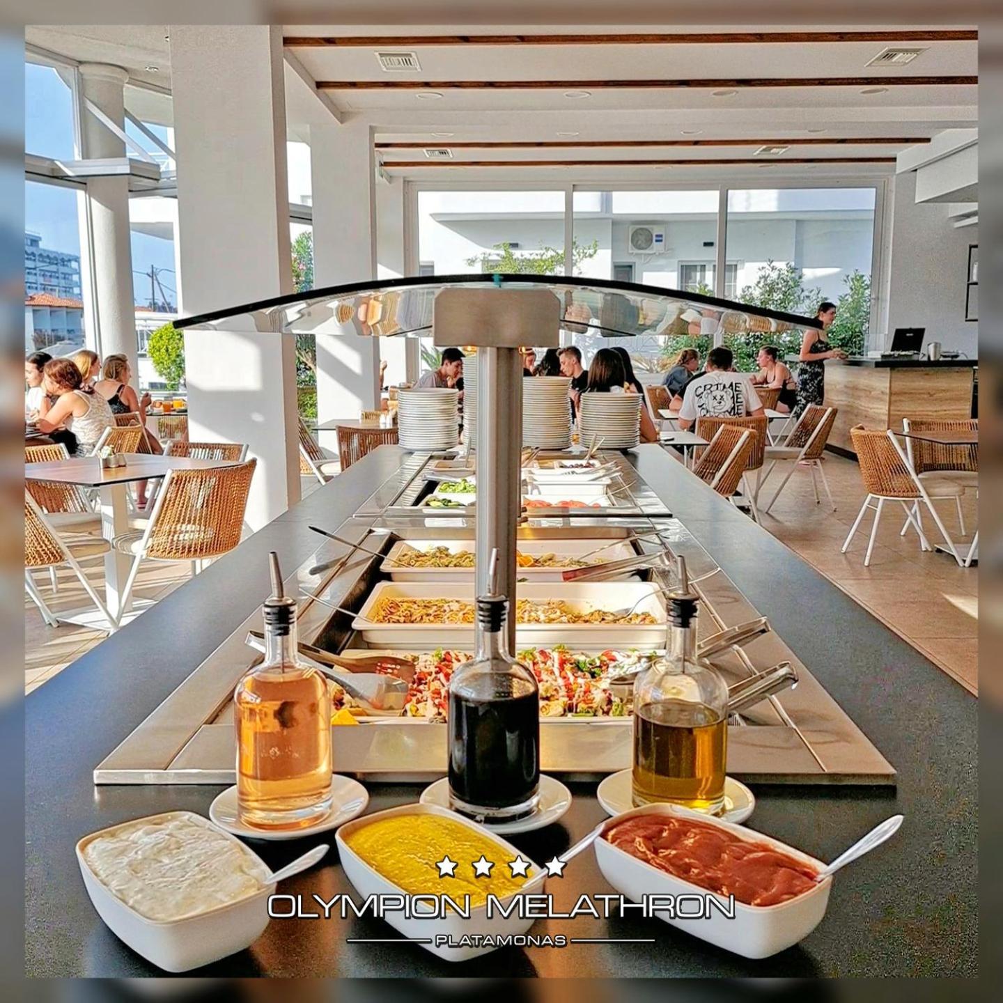 Olympion Melathron Otel Platamon Dış mekan fotoğraf